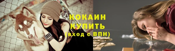 марки lsd Богородицк