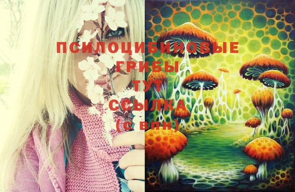 не бодяженный Богданович